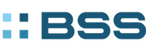 BSS Hungary (Business Services Sector)